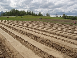 Fertile Soil Fertile Soil